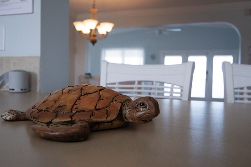 Carved wooden sea turtle on the dining table
