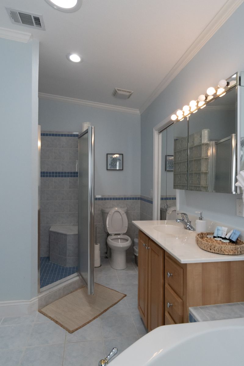 Master bathroom walk-in shower and vanity
