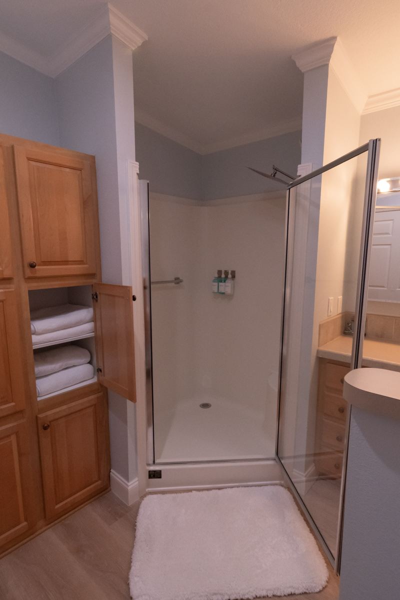 Walk-in shower and linen cabinet